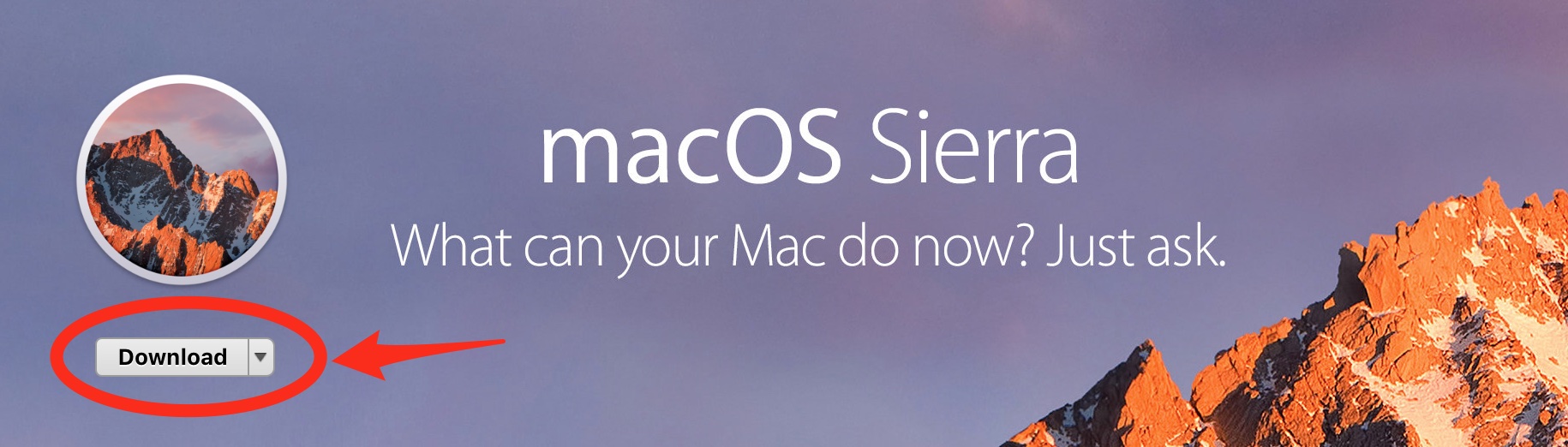 download mac os sierra without app store